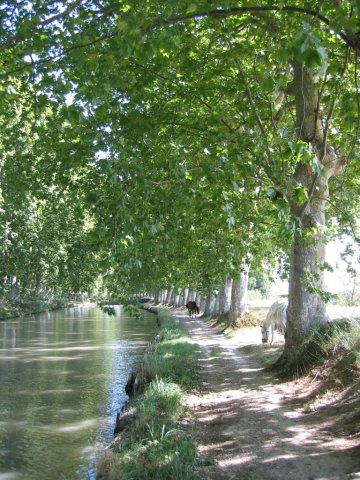 canal_des_deux_mers_719