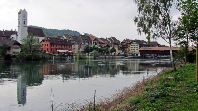 05-23-Biel-3-0023-Baeren