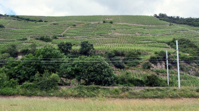 06-04-StVallier-15-0050-La-roche