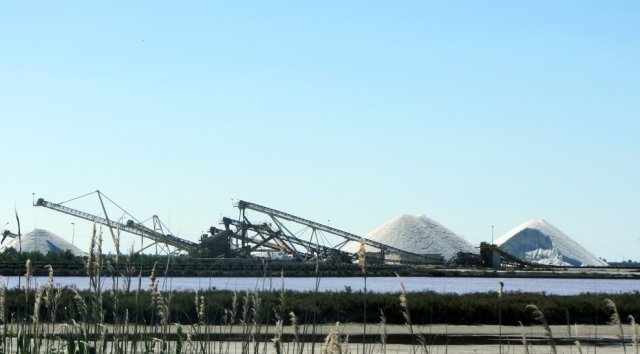 06-13-Frontignan-24-0012-AiguesMortes-Etang-de-la-Marette