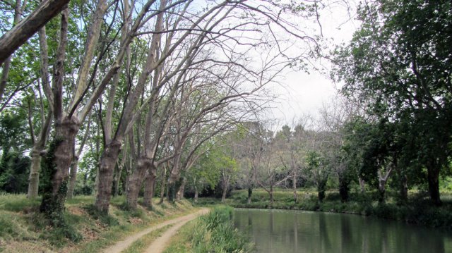 06-18-Carcassonne-29-0021-Ventenac-Minervois