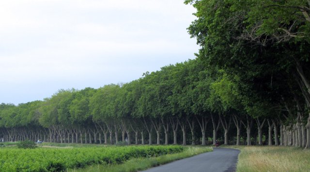 06-18-Carcassonne-29-0041-Argens-Minervois-Kopie