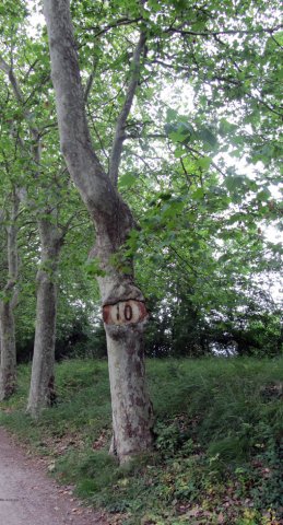 06-19-Castelnaudary-30-0046-Ecluse-Bram