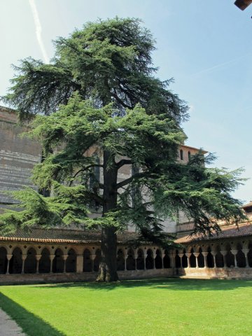 06-23-Moissac-34-0033-Moissac