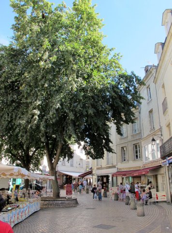 07-18-Saumur-59-0338-Saumur-Rue-dela-Tonnelle