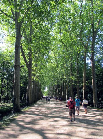 07-21-Chenonceau-62-0055-Chenonceaux-70Hektar-14JH