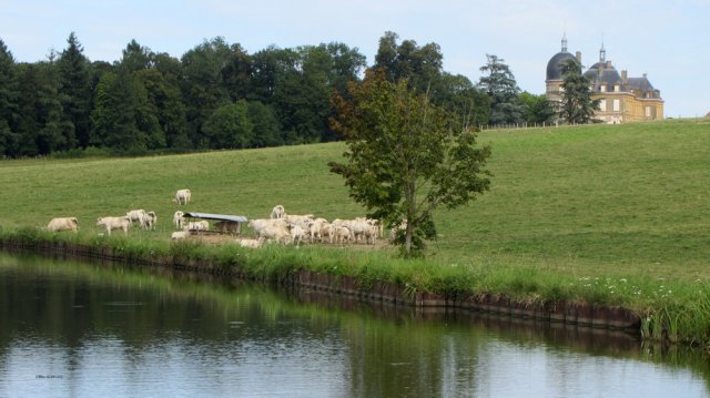 08-04-Montceau-76-0474-St-Bonnet